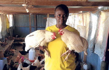 How to start your poultry farm business