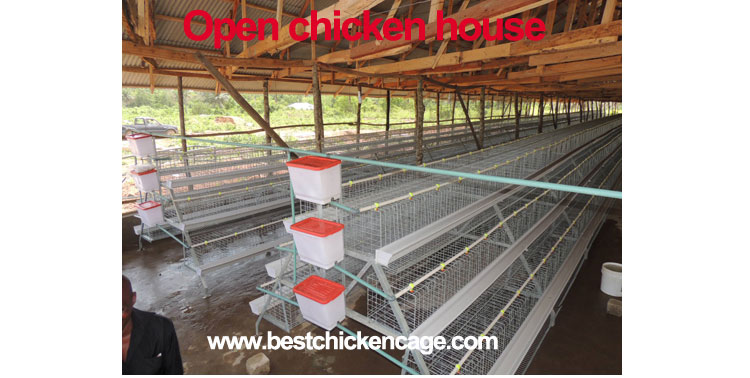 chicken cage 5