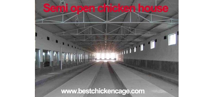 chicken cage 6