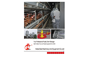 BEST catalogue of chicken cage and poultry equipment