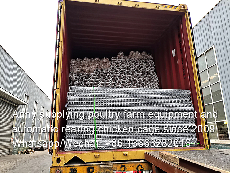 How to solve the problem of battery layer cage logistics transportation in poultry  industry