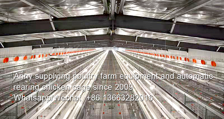 The development history and basic structure of broiler chick cage