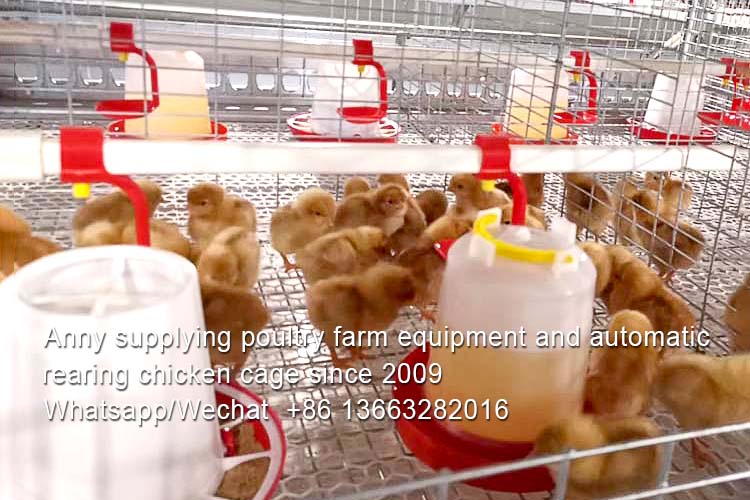 What is automatic feeding machine in poultry farm