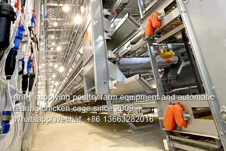 DIFFERENCES BETWEEN MANUAL AND AUTOMATIC LAYER CHICKEN CAGE