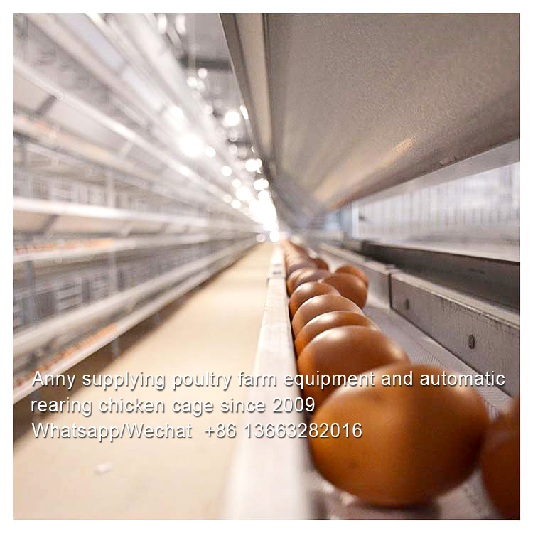 ENVIRONMENTAL IMPACT OF MECHANIZED POULTRY FARMING