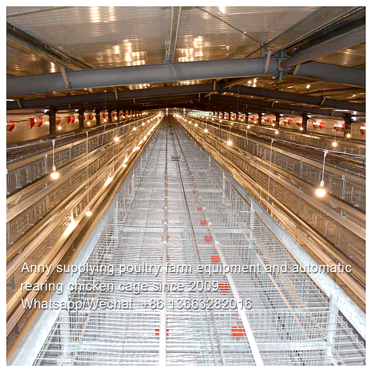 HOW POULTRY BREEDER UNDERGO NETWORK SALES