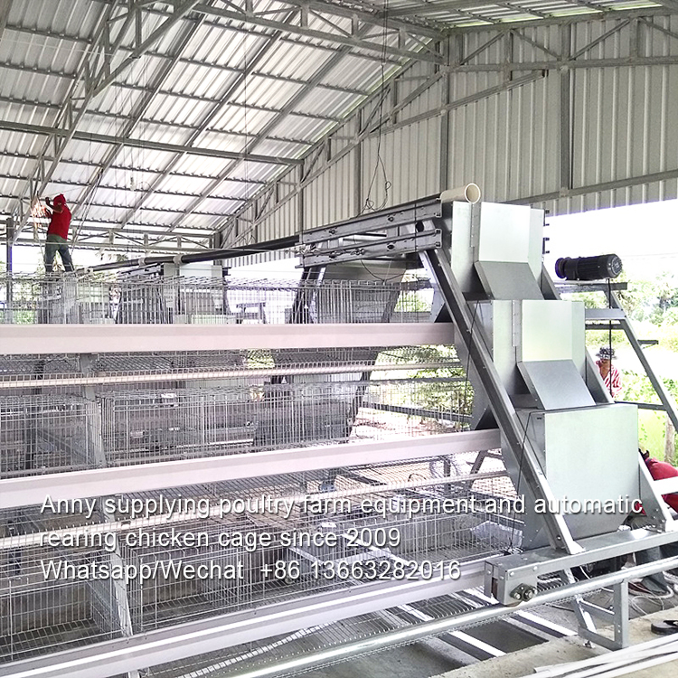 HOW TO DISINFECT POULTRY HOUSE OR LAYER CAGE