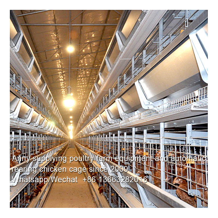 HOW TO INCREASE CHICKEN SALES