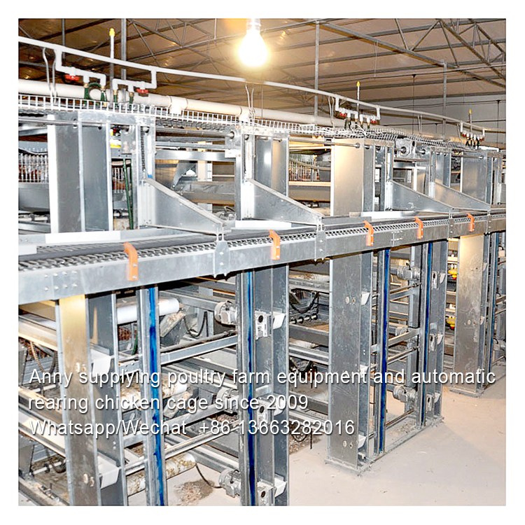 HYGIENIC STANDARD AND DISINECTION MANAGEMENT OF CHICKEN FARM