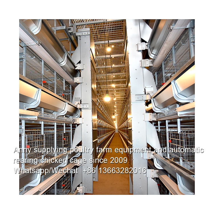 LAYER CHICKEN BATTERY CAGE