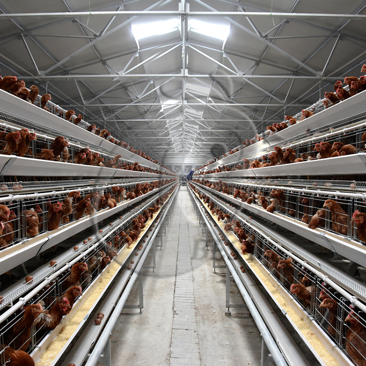 POULTRY FARM EQUIPMENT