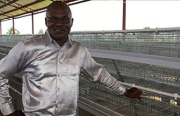 Popular battery cage system in Africa