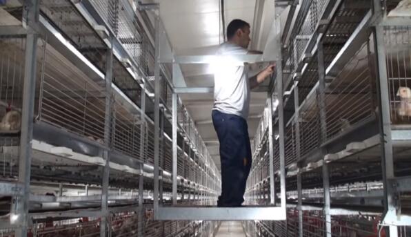 Battery cage system for sale to us in poultry farm