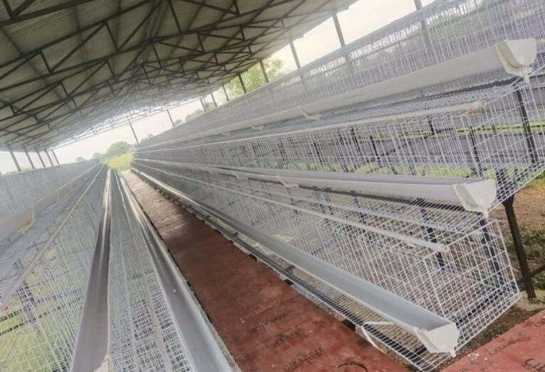 Detailed introduction of layer battery cage is a purpose built enclosure designed to house laying hens in a controlled environment
