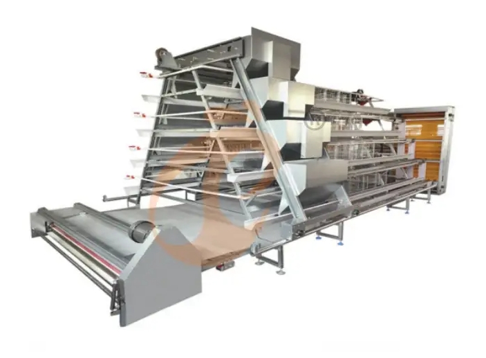 The Optimal Poultry Equipment And Battery Cages List For Layers At Different Ages