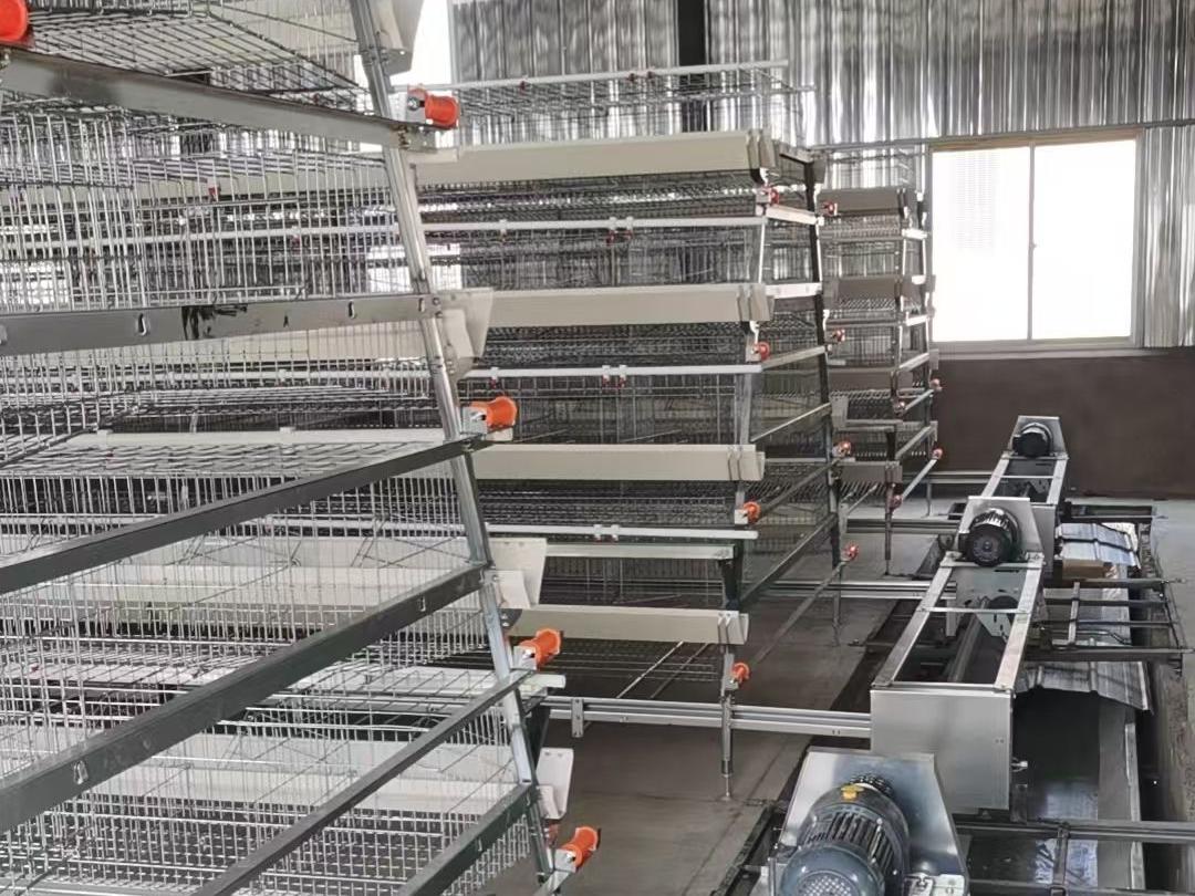 Nigeria Battery Cage For Broiler: Longitudinal & Transverse Manure Belts Improve Hygiene