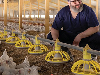 How to Start a Poultry Farm 10 Essential Steps for Beginners