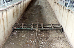 Manure Removal System